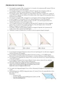 Problemi triangolo rettangolo