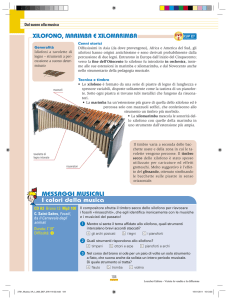 Xilofono, marimba e xilomarimba