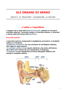 Gli organi di senso