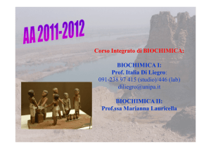 Corso Integrato di BIOCHIMICA: BIOCHIMICA I: Prof. Italia Di Liegro