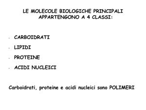 2) carboidrati e lipidi