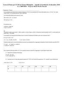 soluzione del compito di fisica del 16-12-2010