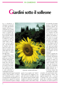 Giardini sotto il solleone - Fito