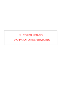 IL CORPO UMANO : L`APPARATO RESPIRATORIO