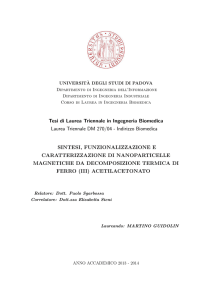 Tesi di Laurea Triennale in Ingegneria Biomedica Laurea Triennale