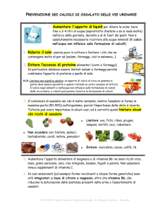 calcoli renali di ossalato - Studio medico dr. Massimo Tombesi