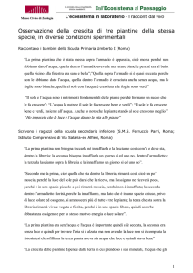 Osservazione della crescita di tre piantine della stessa specie, in