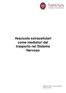 Gruppo 2, tesina 14 - e