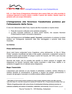L`integrazione che favorisce l`anabolismo proteico per l`allenamento