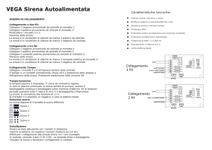 VEGA Sirena Autoalimentata