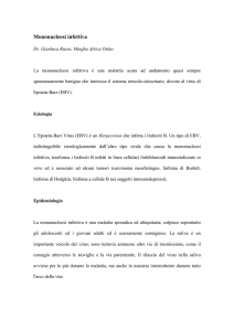 Mononucleosi infettiva
