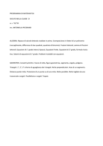 PROGRAMMA DI MATEMATICA SVOLTO NELLA