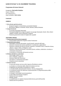 IV SU A - Liceo Colombini