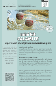 mini kit CALAMITE