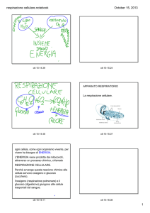 respirazione cellulare.notebook