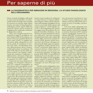 lo studio radiologico dell`organismo