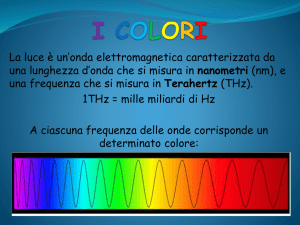 I COLORI