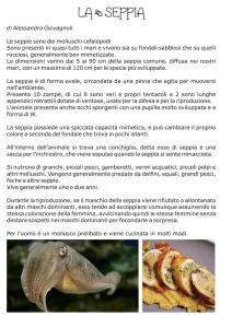 Seppia - DigiScuola