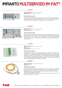 scarica il documento