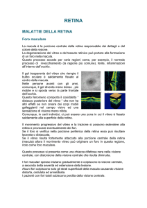 Scarica il testo in formato PDF