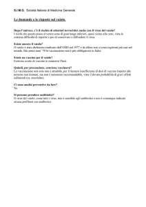 Le domande e le risposte sul vaiolo.