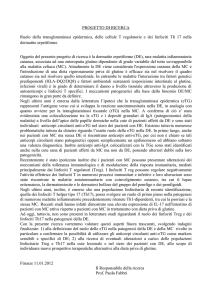 Ruolo della transglutaminasi epidermica, delle cellule T regolatorie