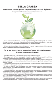 Bella grassa - Toscana EtiCA