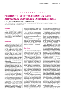 peritonite infettiva felina: un caso atipico con