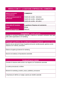 MODULO COM 13 - LA GESTIONE D`IMPRESA NEL COMMERCIO