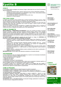 Epatite B