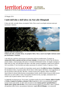 I miti dell`olio e dell`ulivo: da Noè alle Olimpiadi