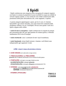 I lipidi - Istituto Garcia Marquez