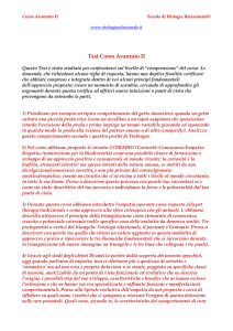 Test Corso Avanzato II
