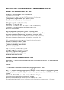 simulazione della seconda prova parziale di microeconomia – 18.04