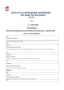 ISTITUTO DI ISTRUZIONE SUPERIORE “DE SANCTIS