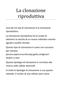 La clonazione riproduttiva