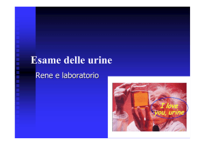 Esame delle urine