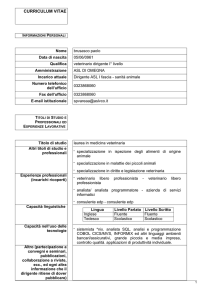curriculum vitae