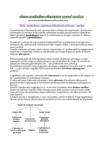regolazione della glicemia nell`uomo