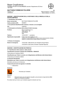 Baythion Formiche Polvere