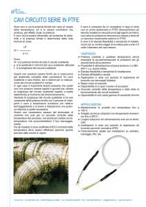 Cavi circuito serie in PTFE.ai