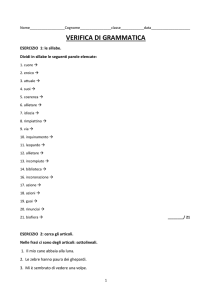 Verifica Grammatica 1a