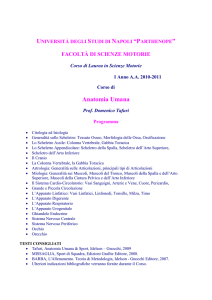 Anatomia Umana