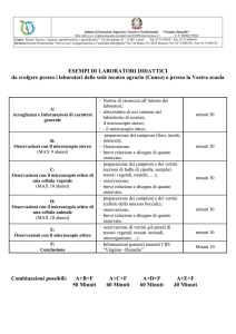 Visualizza alcuni esempi di laboratori - "Vincenzo Virginio"