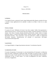 Programma e lavoro estivo Fisica classe 4A