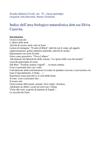 Uscita al mercato - Laboratorio Didattico Territoriale