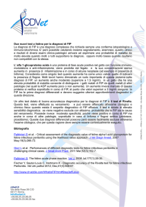 Scarica il documento in formato PDF