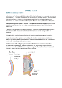 Scarica il testo in formato PDF