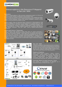 Videosorveglianza IP Megapixel su LAN WAN