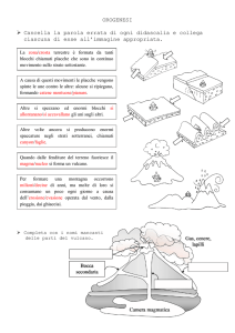 Approfondimento orogenesi